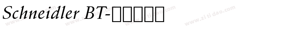 Schneidler BT字体转换